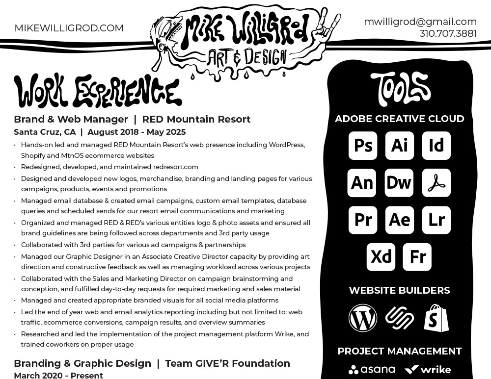 Mike Willigrod Resume